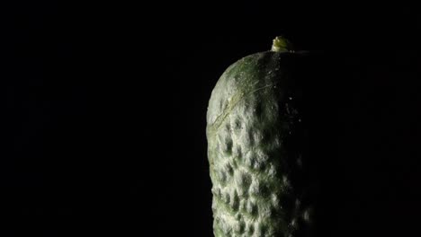 pepino en rotación sobre un fondo negro.