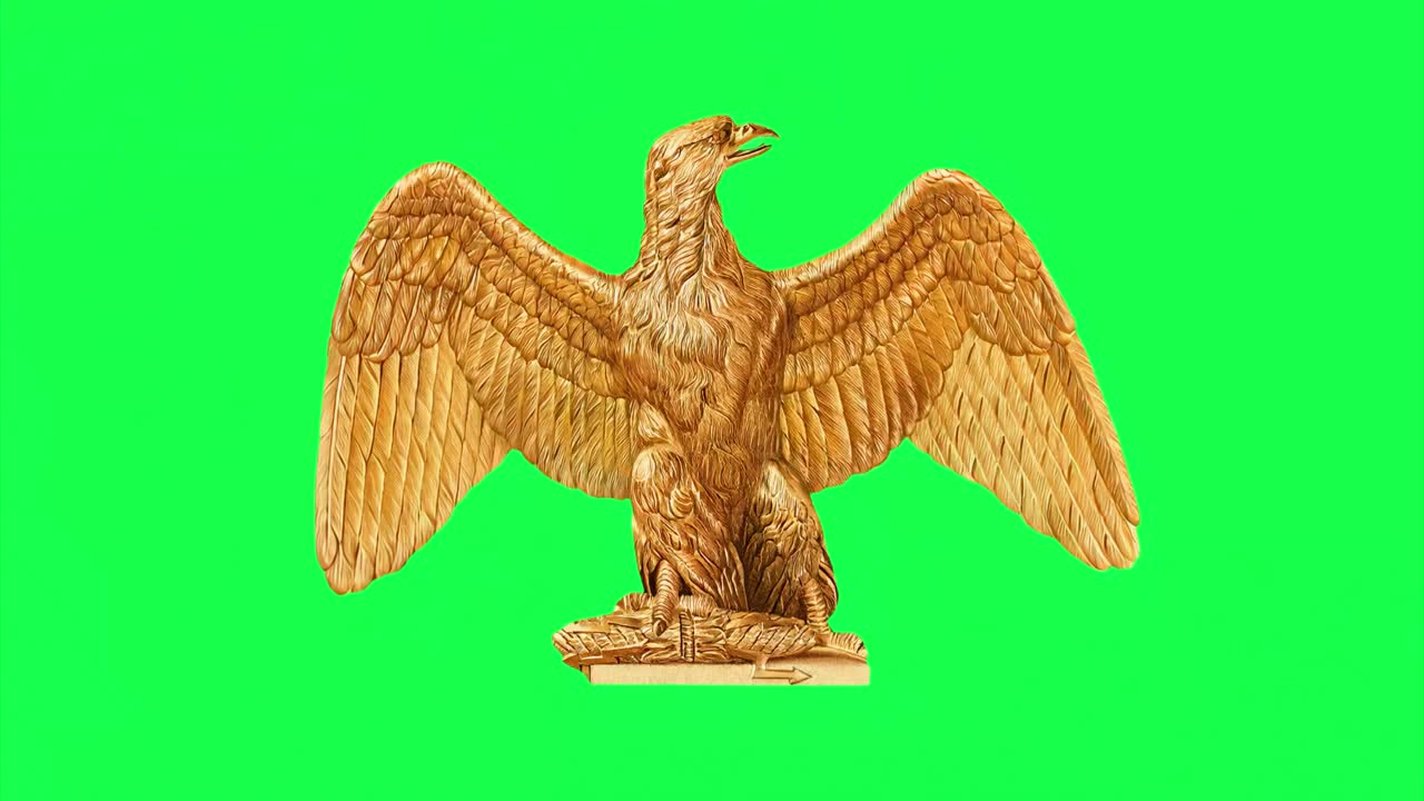 Animazione isolata di una scultura di aquila reale, video 4K trasparente, green screen.