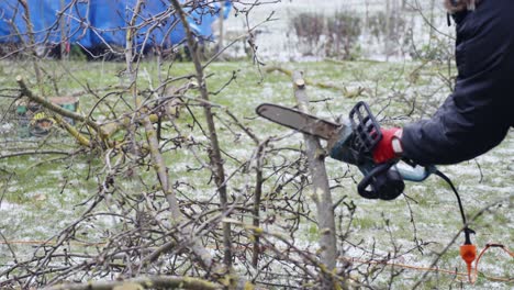 person cutting small branches using electric chainsaw