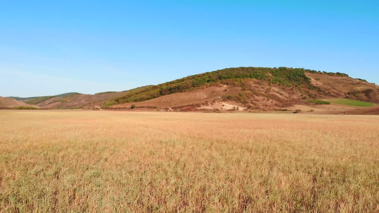 vuelo en círculo bajo sobre coloridos pastizales verdes y naranjas en una pradera plana con vistas a colinas marrones inclinadas, antena giratoria superior