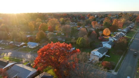 Aerial-view-of-suburban-neighborhood-with-colorful-fall-foliage-at-sunset