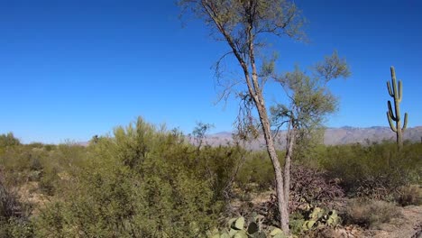 Pov-Conduciendo-Por-El-Desierto-De-Sonora-En-El-Sur-De-Arizona