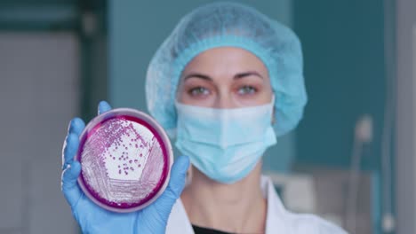 scientist holding petri dish with bacteria culture