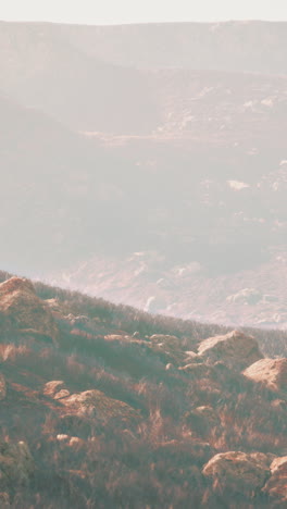 misty mountain landscape