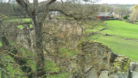 basingwerk abadía punto de referencia medieval abandonado galés ruinas vista aérea paralaje derecho pasando árbol