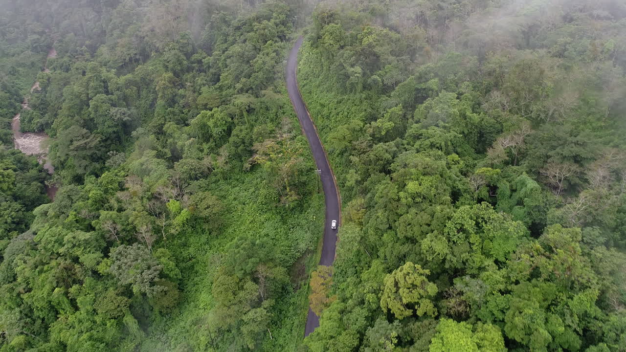 antena moviéndose a través de las nubes por encima de la cabeza siguiendo el coche a lo largo de la ventosa carretera de la jungla, 4k