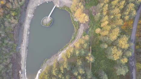 aerial view of a pond and surrounding forest
