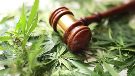 Marijuana Legalization
