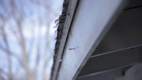 Ice-melting-and-dripping-off-the-edge-of-a-roof