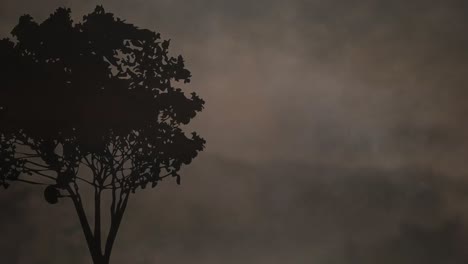 animation of smoke over tree silhouette on grey background