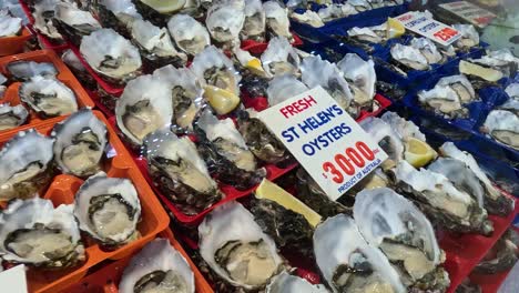 display of fresh oysters and seafood products