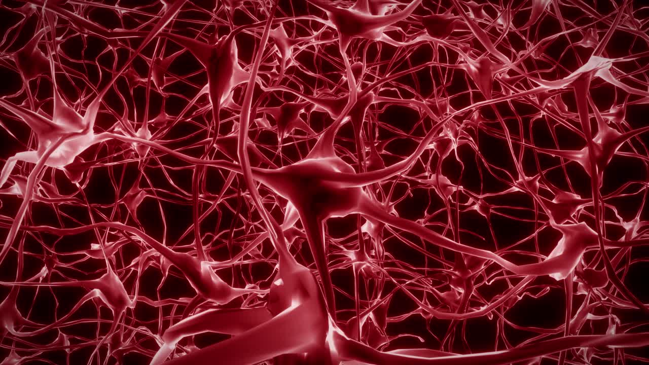 neuronas cerebro mente axón pensamiento red neuronal holograma célula ciencia de la salud 4k