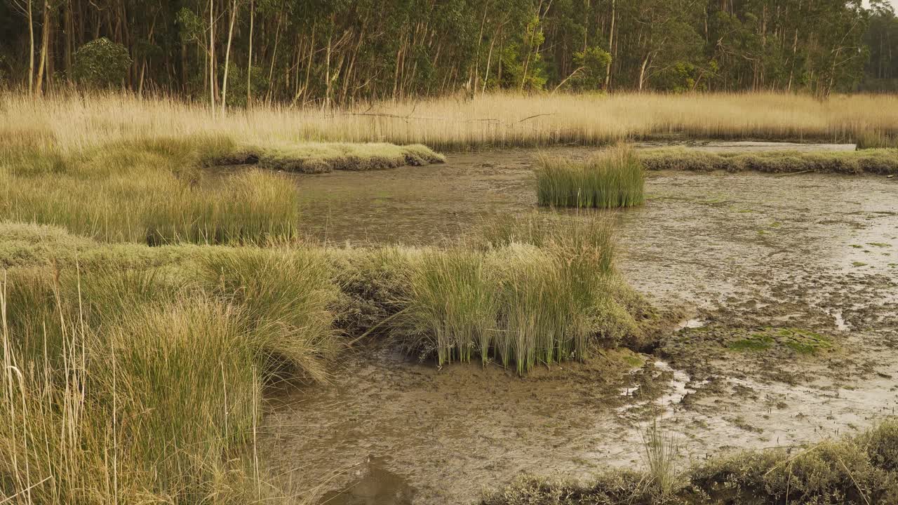 4K muddy river bed in a low tide with some water flowing down the river to the ocean