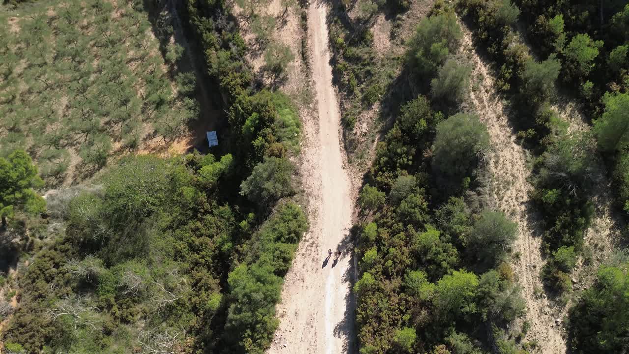 두 명의 갈색 소녀가 시에라 칼데로나에서 소나무, 아몬드 및 올리브 나무로 둘러싸인 길을 따라 은 날 하이킹을하는 일반 드론 추적