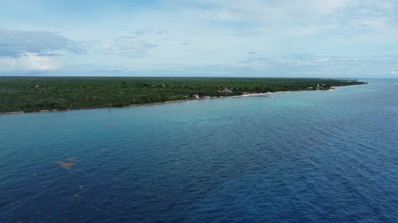 la serena costa de cozumel con exuberante vegetación y aguas azules claras, luz del día brillante, vista aérea