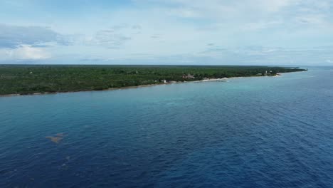 la serena costa de cozumel con exuberante vegetación y aguas azules claras, luz del día brillante, vista aérea