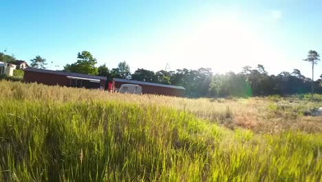 bright sun shining over the tall green grass and farm house in the countryside