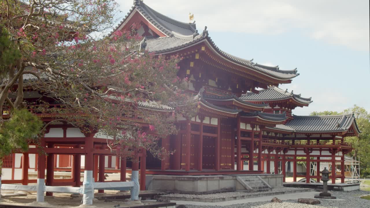 tiro de diapositiva de hermoso árbol con flores frente a un templo en kyoto, japón 4k cámara lenta