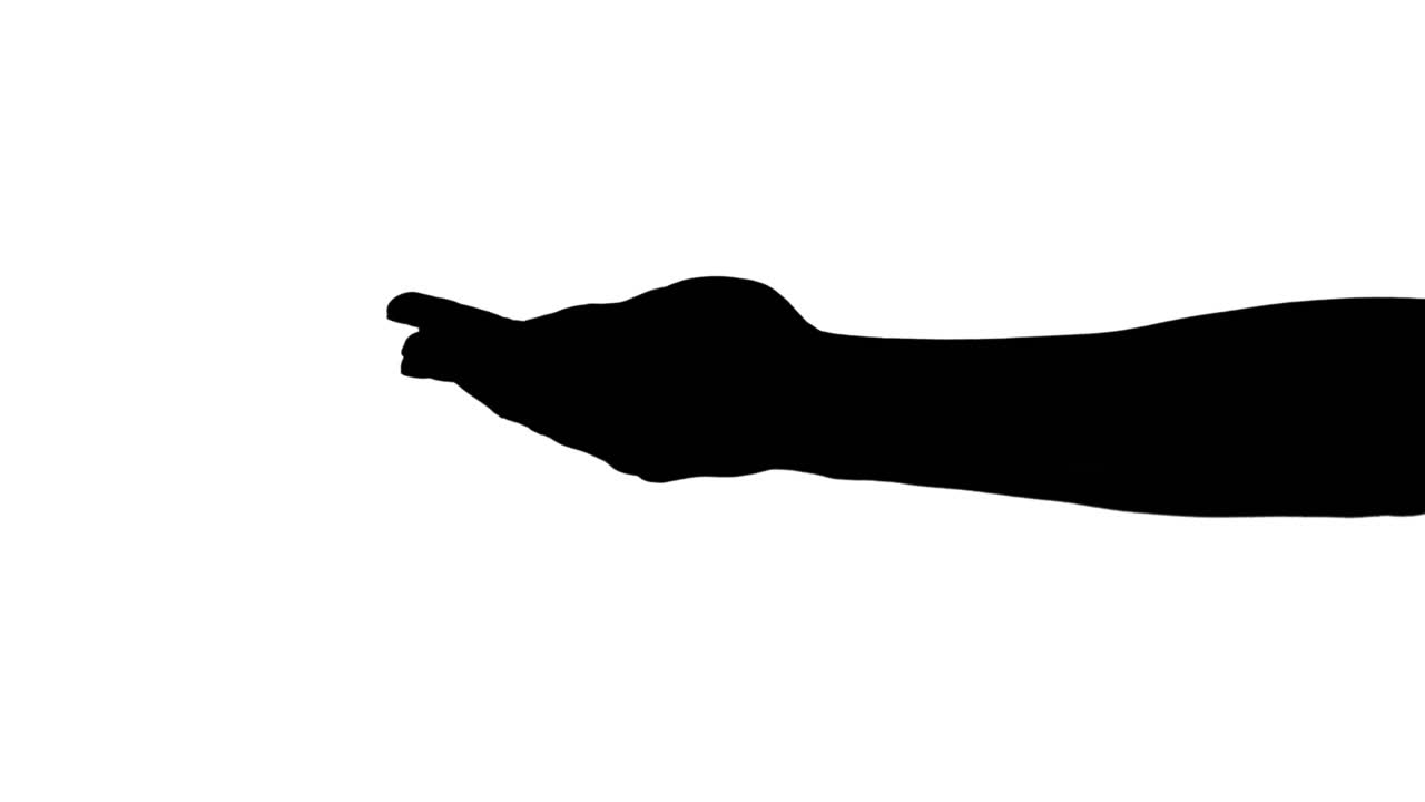 무언가를 들고 있는 사람의 손