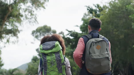 back, walking or couple hiking in nature