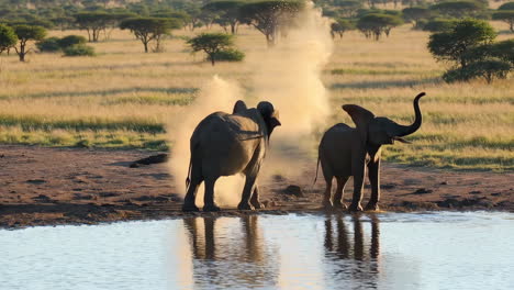 elephants at a waterhole in africa