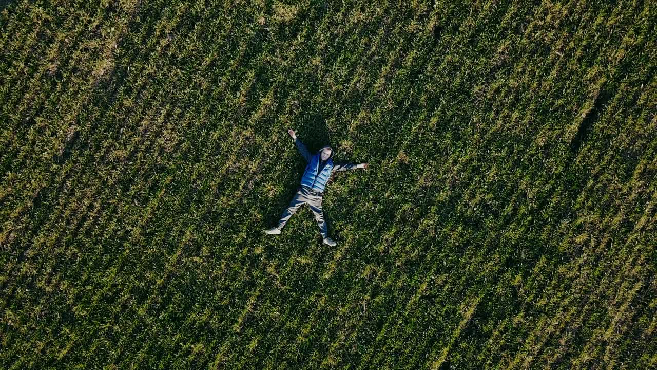 Little boy on a field in the sunlight enjoying nature. Aerial view