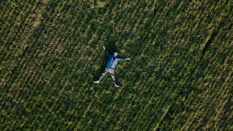 little boy on a field in the sunlight enjoying nature. aerial view