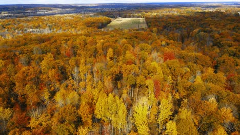 Herbstfarben-Bei-Leichter-Brise