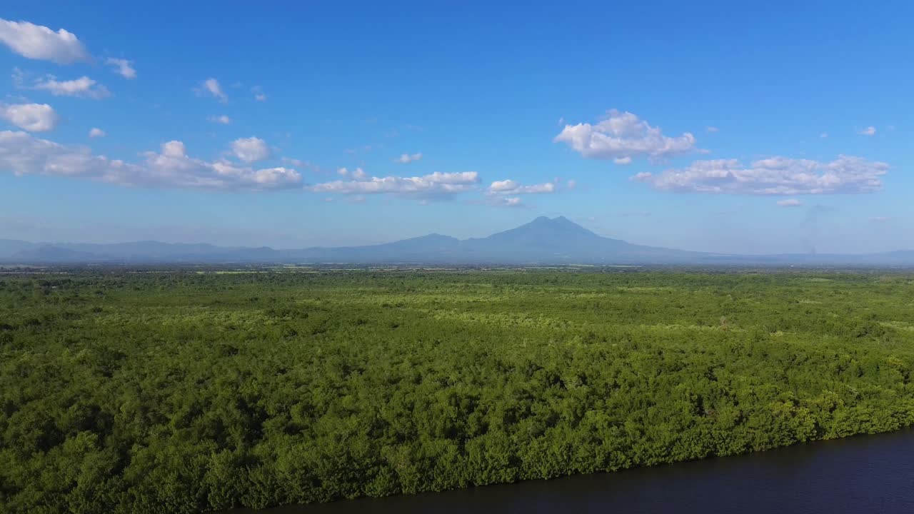 맹그로브 숲 과 강 입구 의 아름다운 풍경