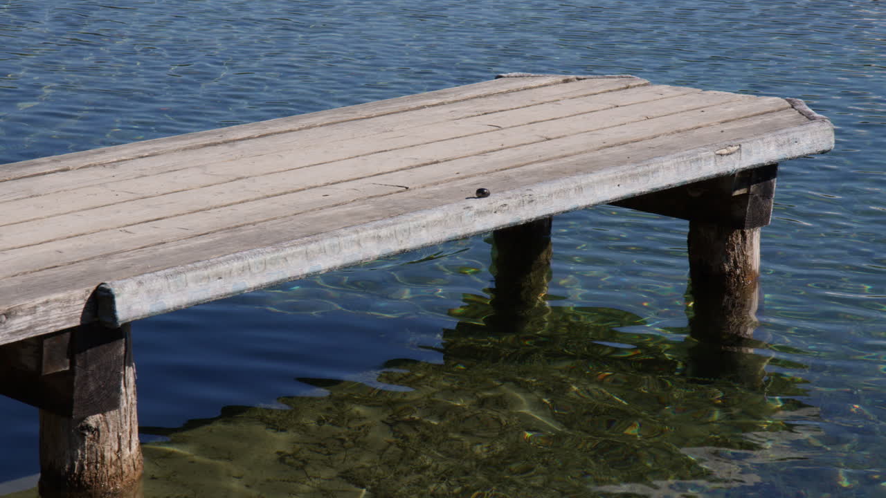 Waterfowl Duck Swimming Alone In Hintersee Lake In Germany, Berchtesgaden National Park. Tracking Shot