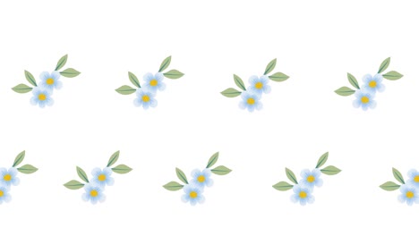 composition of rows of blue flowers moving on white background