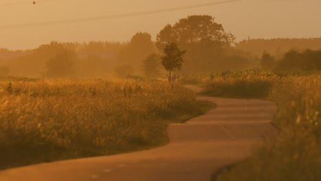 golden hour countryside path