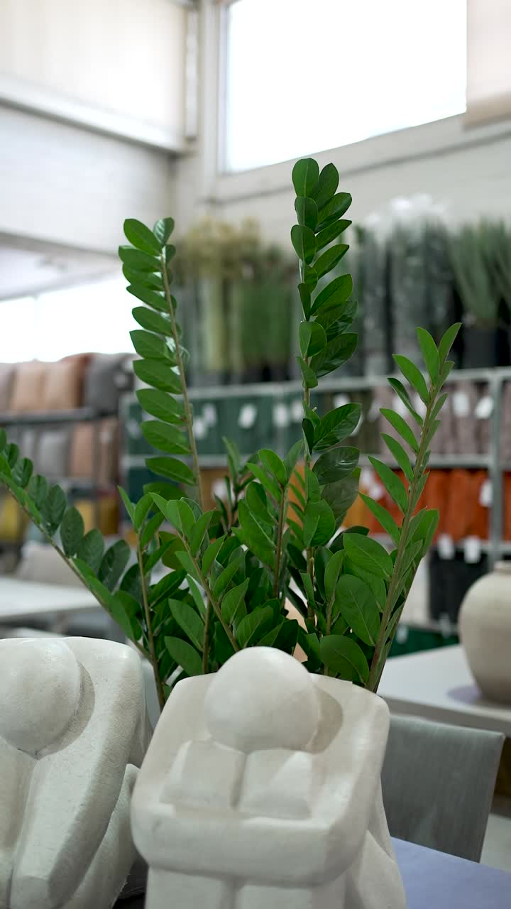 A beautiful indoor display features lush green foliage alongside elegant sculptures, creating a stylish atmosphere full of modern design elements and artistic flair