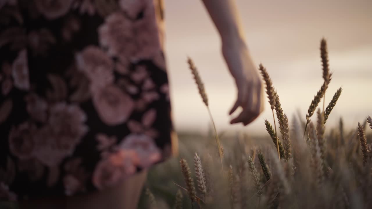 Donna che cammina in un campo di grano al tramonto