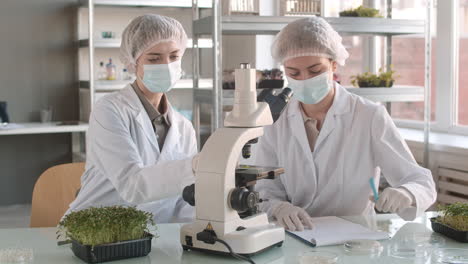 científicos en el laboratorio examinando microgreens bajo el microscopio