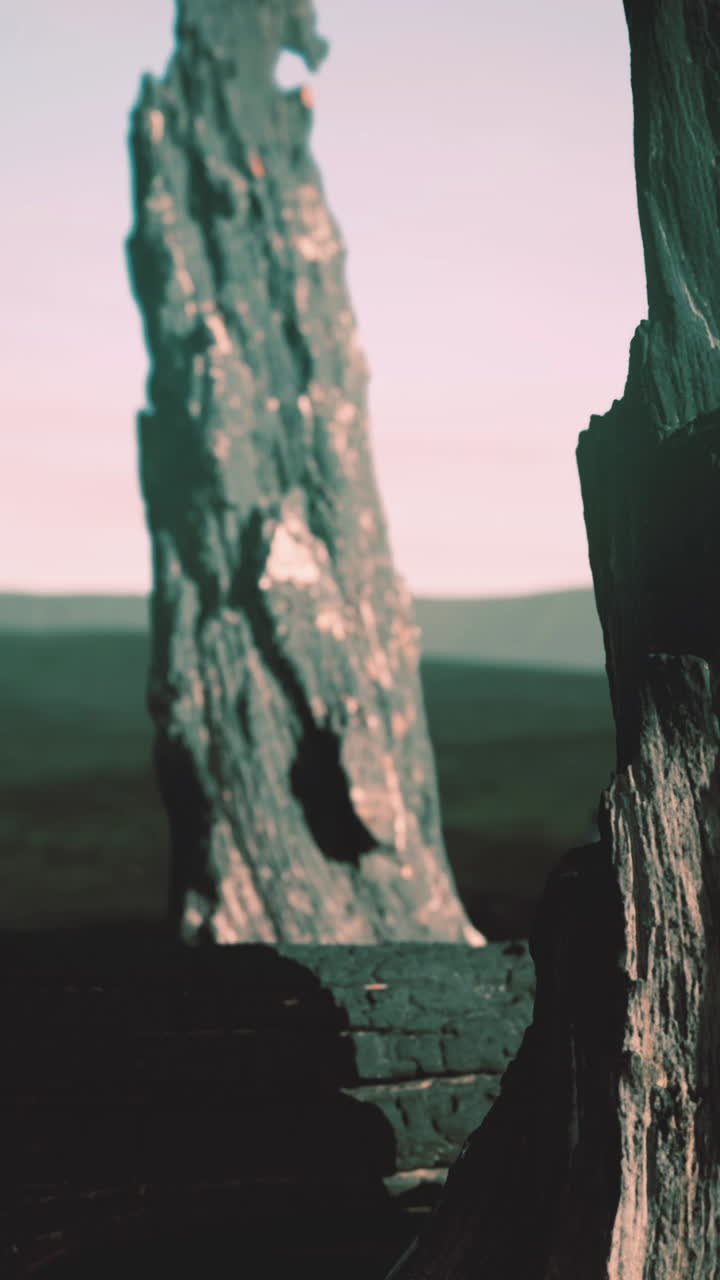 troncos y troncos después del incendio forestal