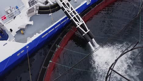 drone shot descending to show fish being flushed into a fish farming cage