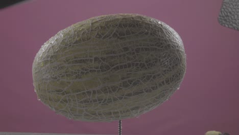 크로마 키를 위한 푸키아 스크린에 루프와 함께 회전하는 멜론