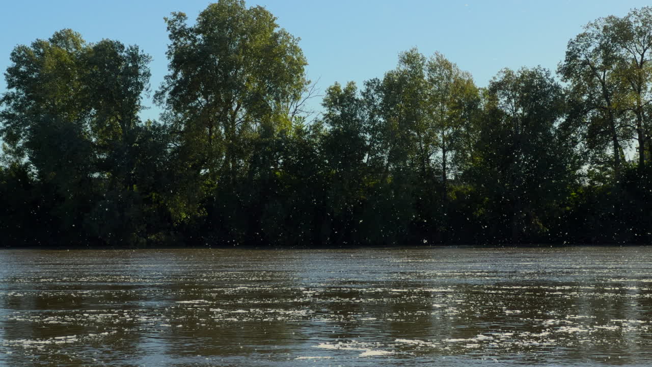 Pollen in the air over the river at dusk