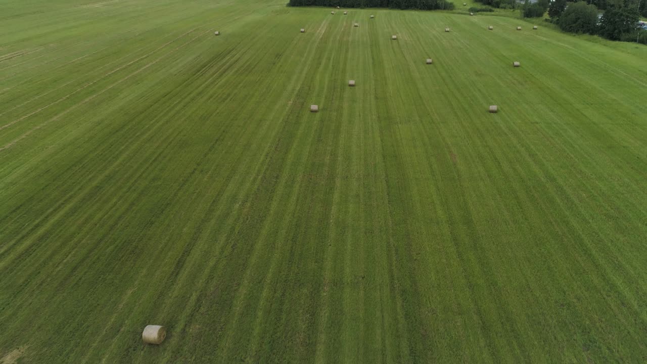 들판의 건초 뭉치