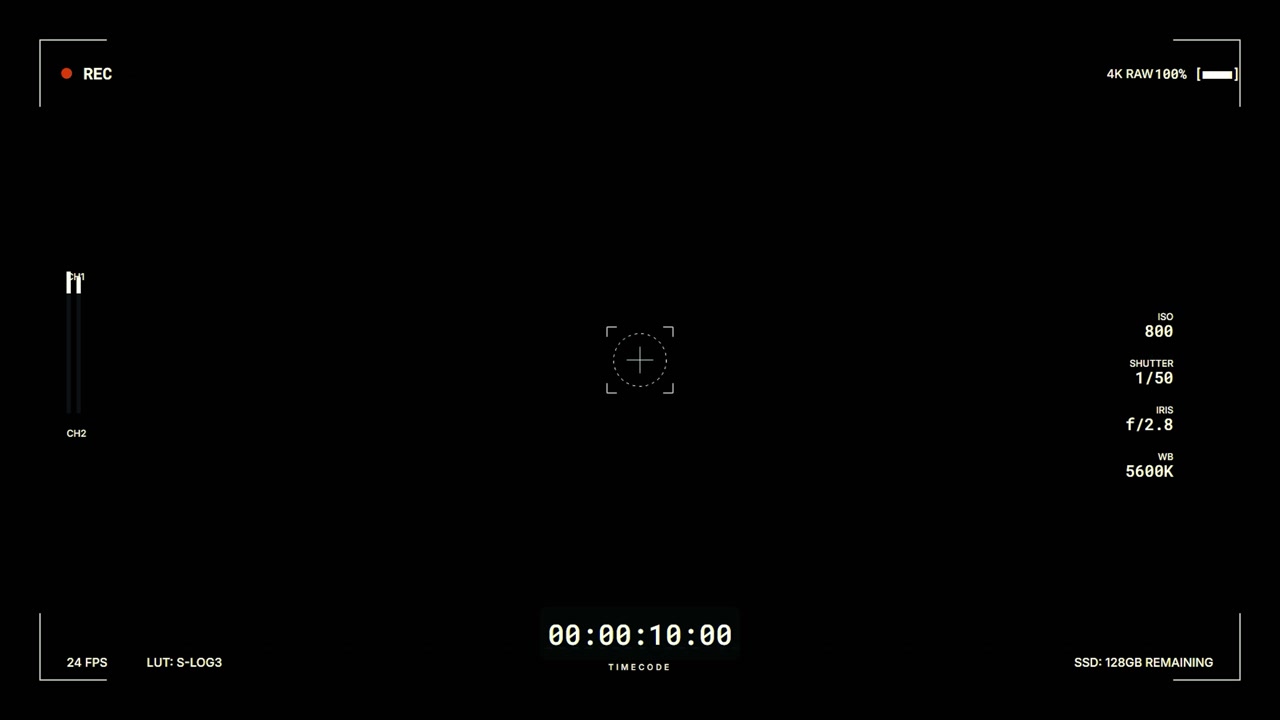 Digital Camera Viewfinder Overlay with Recording Interface