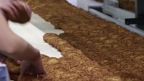 conveyor belt at a confectionery factory with sweet cookies in motion