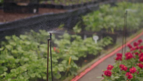 close-up of rotational irrigation system