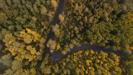 vista aérea alcanzando nubes de bucle alpino agudo gire en colorido bosque de otoño