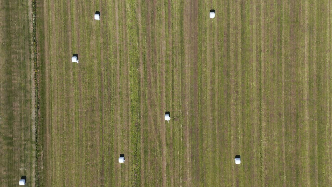 arriba hacia abajo de fardos de heno blanco en el campo de hierba en egilsstaðir, islandia