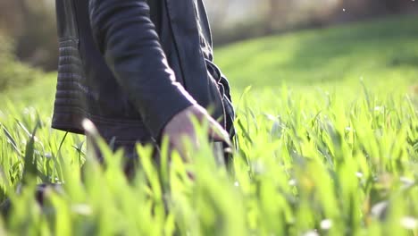 a man walking in the field and touching to wheat