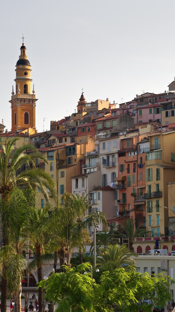 Vista di palme con gli edifici colorati sullo sfondo a Mentone, in Francia. Verticale