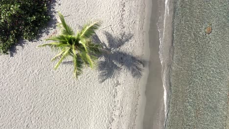 Hermosa-Vista-Aérea-Hacia-Abajo-Sobre-Las-Aguas-Cristalinas-De-La-Playa-De-Punta-Salinas,-Peravia-República-Dominicana