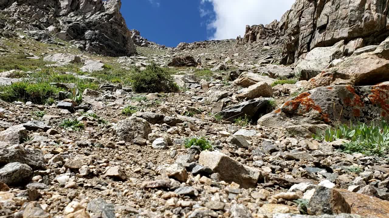 tipo corriendo por la ladera de la montaña en colorado