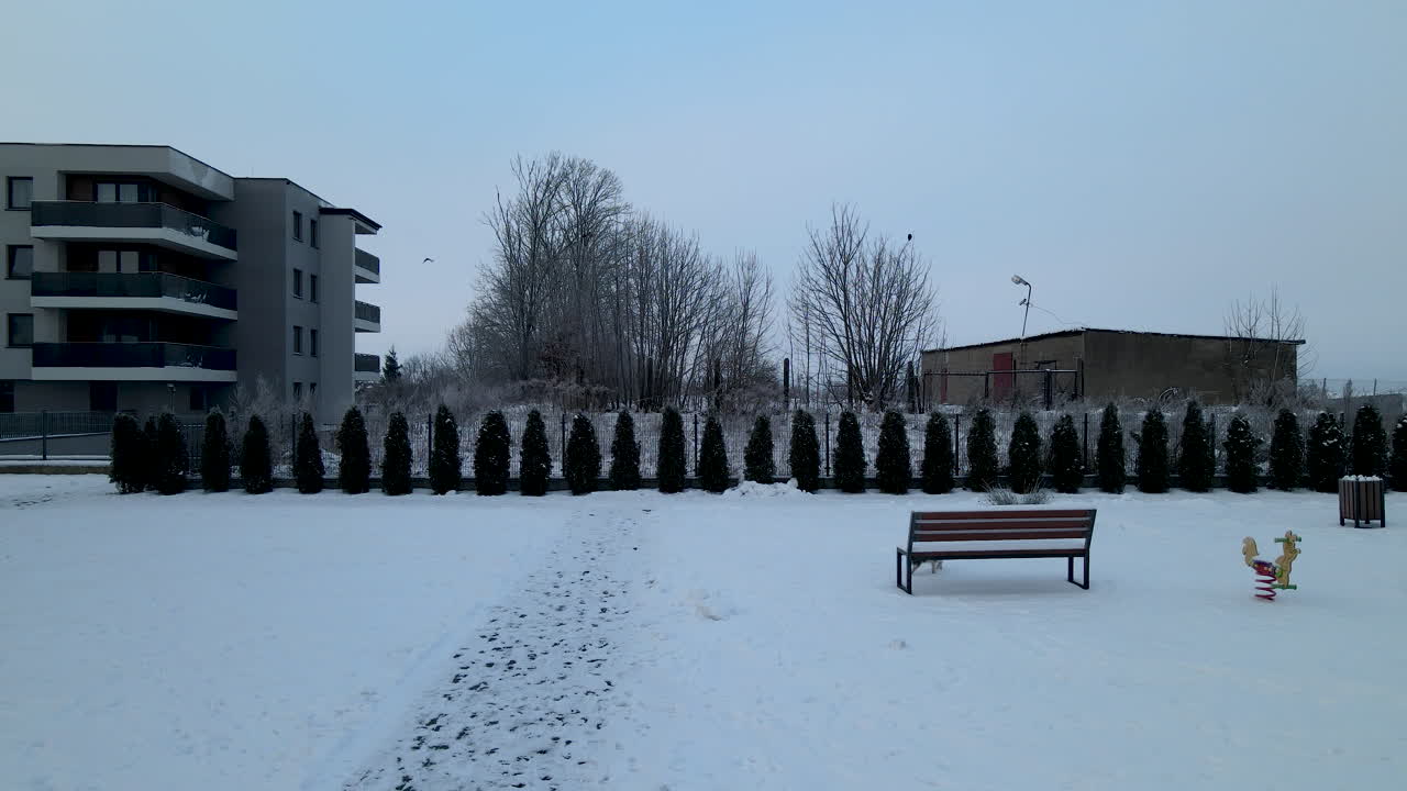 눈 탐험 지역 밖에 있는 작은 개, 정적 샷